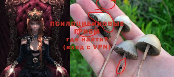 кристаллы Бородино