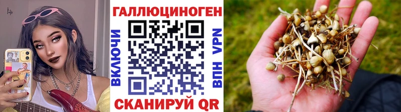 Псилоцибиновые грибы GOLDEN TEACHER Заречный
