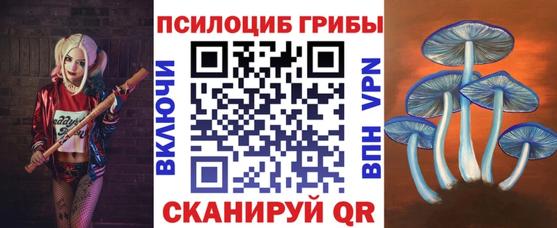 Псилоцибиновые грибы прущие грибы  Заречный 